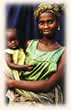 wise and refugee community